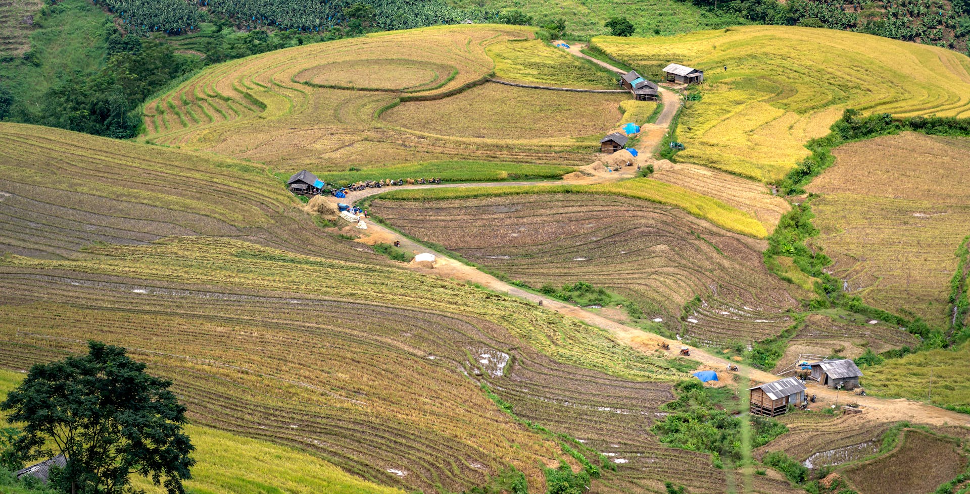 Aerial view of terraced farmland with scattered houses in a rural countryside setting.