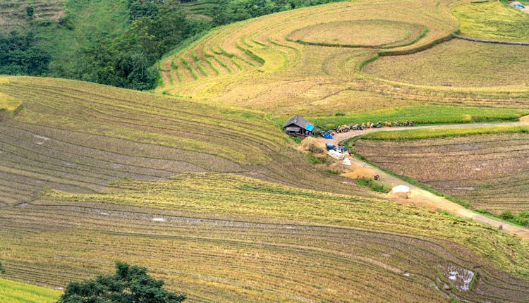 Dirt Road Running Through Rural Fields