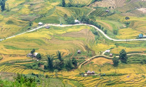 Free Stunning aerial view of vibrant rice terraces and winding rural road in the countryside. Stock Photo