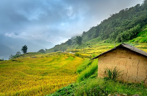 Free Breathtaking view of terraced rice fields with an old hut and misty hills in the countryside. Stock Photo