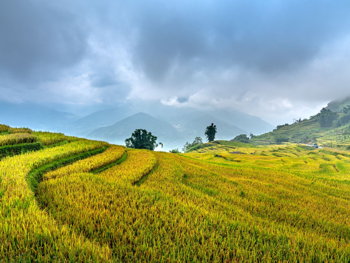 28 Day 300 Hour Hatha, Ashtanga & Vinyasa YTT in Vietnam 3