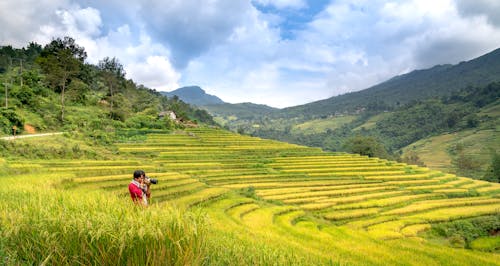 Photographer on a Rice Field
