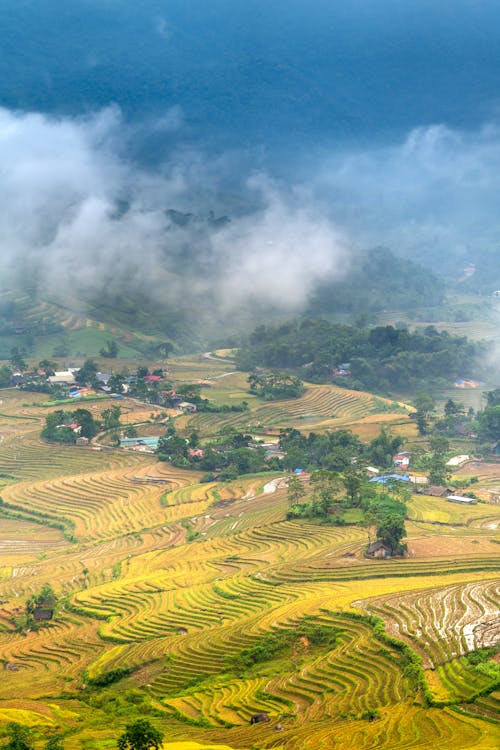 Aerial View of Clouds above Rice Paddies