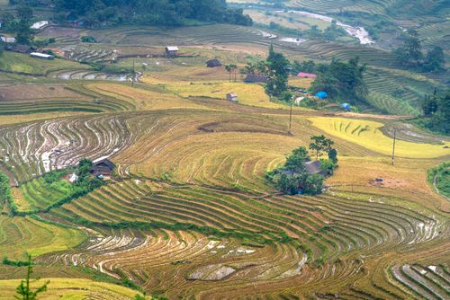 Free A breathtaking aerial view showcasing lush rice terraces in a rural landscape, captured in daylight. Stock Photo