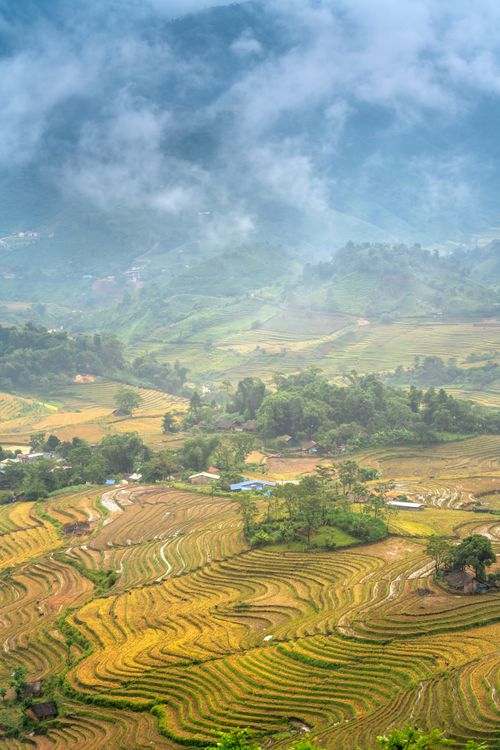 Free A breathtaking aerial view of vibrant rice terraces under a cloudy sky, showcasing natural beauty. Stock Photo