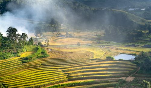 Free A breathtaking aerial shot of terraced rice fields enveloped in mist, showcasing rural agricultural beauty. Stock Photo