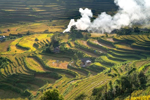 Foto stok gratis agrikultura, asap, dibudidayakan