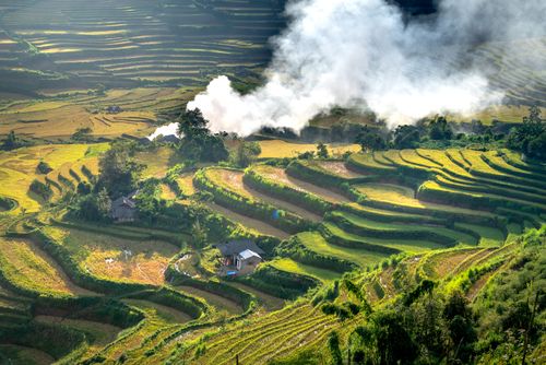 Free Beautiful aerial shot of terraced rice fields with smoke wafting over them in the early morning light. Stock Photo