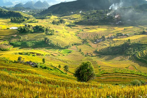 Foto stok gratis agrikultura, alam, lansekap