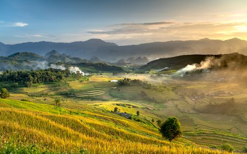 Free Breathtaking view of rice terraces with misty mountains at sunrise. Stock Photo