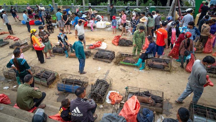 People At A Marketplace 