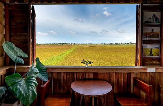 A beautiful view of a vast farmland seen through a rustic wooden window with indoor plants and furniture.