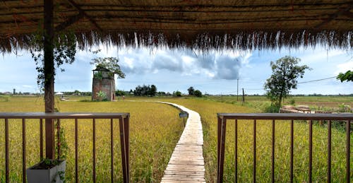 농촌의, 들판, 시골의 무료 스톡 사진