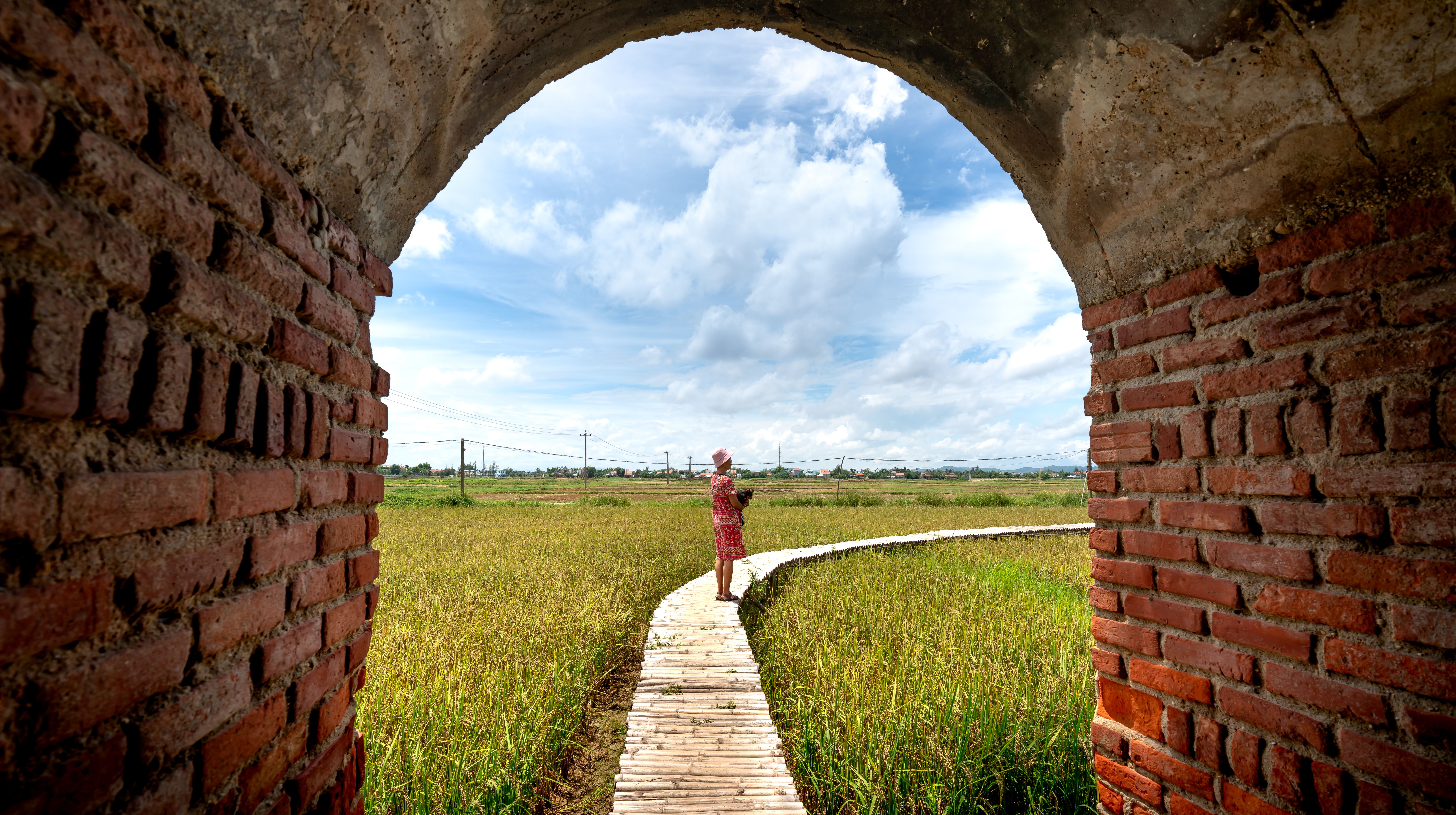 A Footpath in a Field · Free Stock Photo