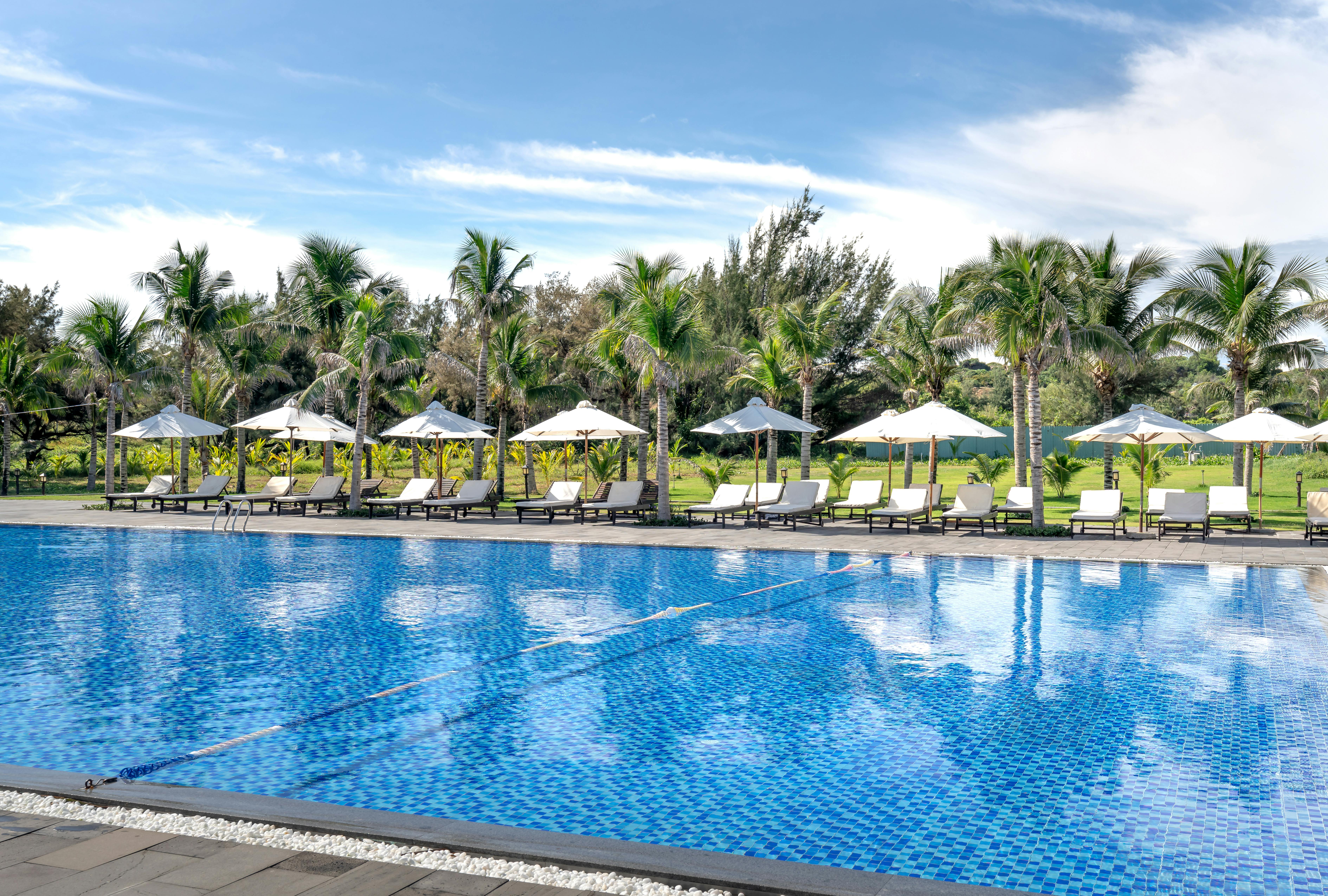 Relaxing poolside scene with umbrellas, palm trees, and loungers under a clear blue sky. - Photo by Quang Nguyen Vinh on Pexels