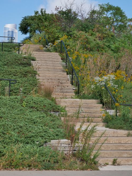 Free Stone stairway with metal railings amidst vibrant green plants and wildflowers outdoors. Stock Photo