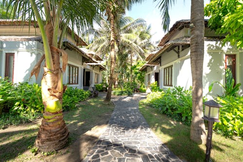 Houses among Palm Trees on Tropical Island