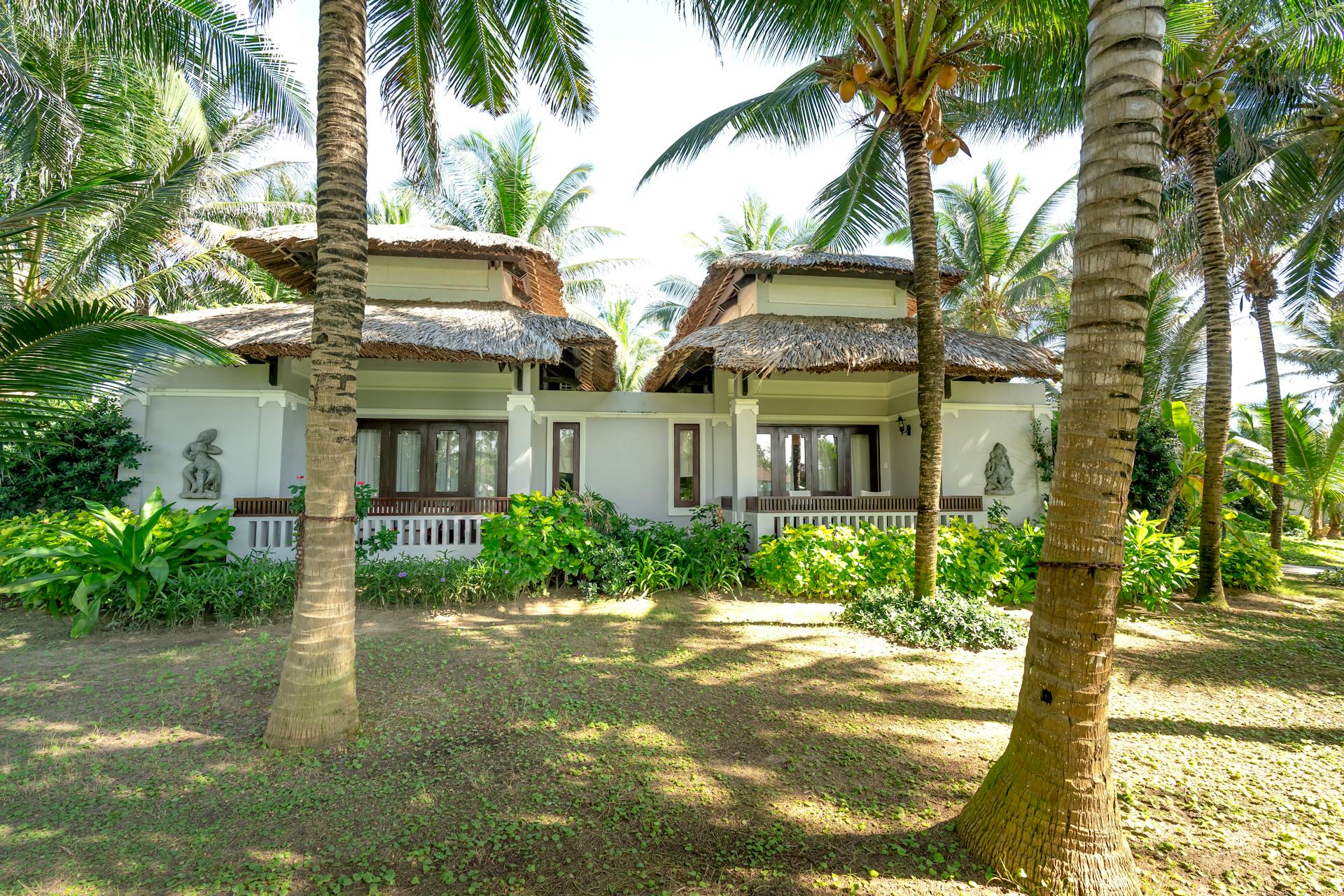 A serene tropical villa amidst lush palm trees, perfect for vacation retreats.