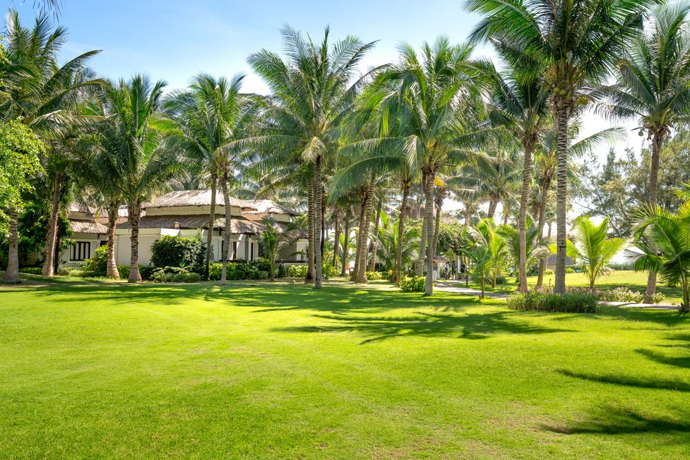 Green garden and lawns at the property