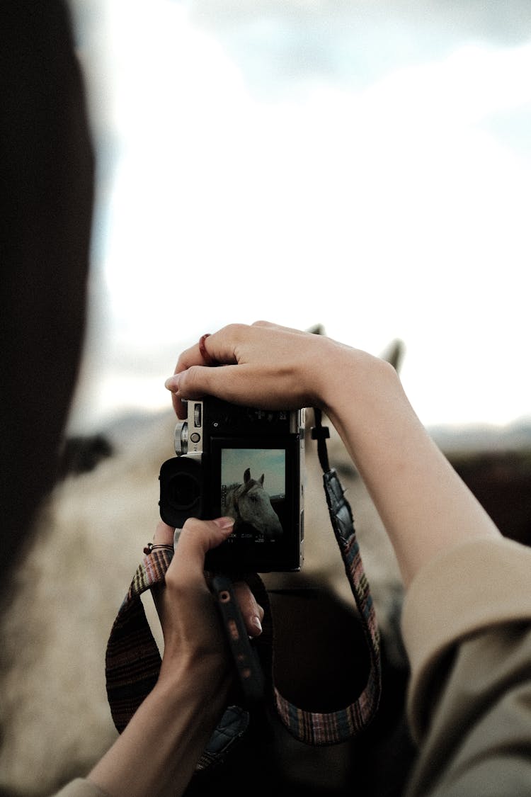 Photographer Taking Picture Of A Horse