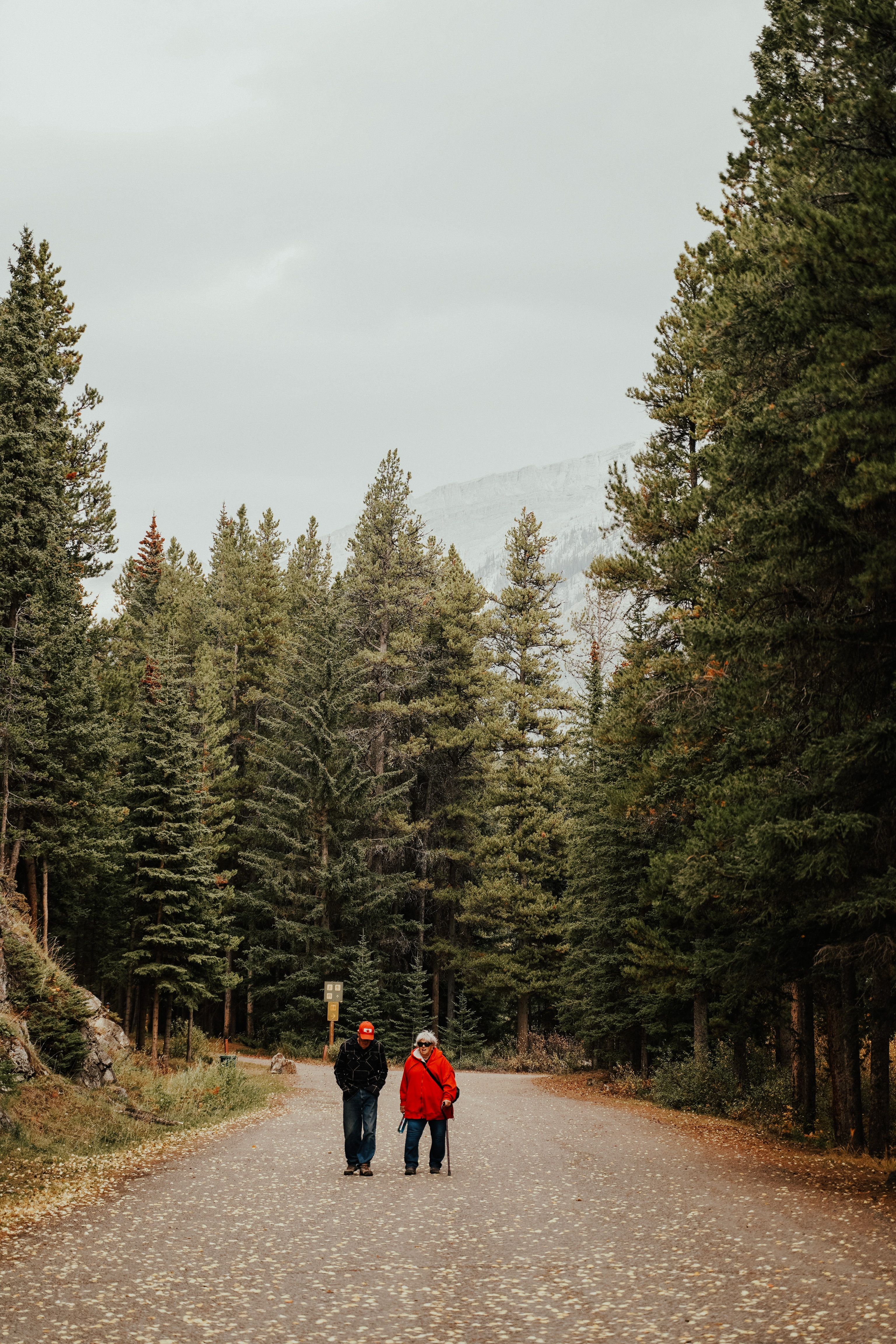 A serene walk through an evergreen forest, showcasing a couple dressed for fall weather, enjoying nature's tranquility.