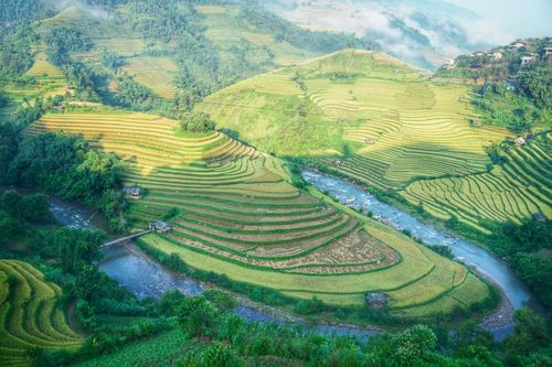 Free Stunning aerial shot of lush rice terraces with a winding river in rural Asia. Stock Photo