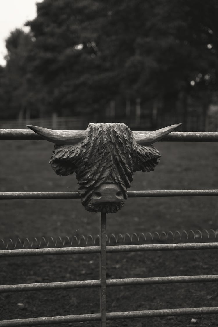 Black And White Photo Of A Logo On Metal Fence