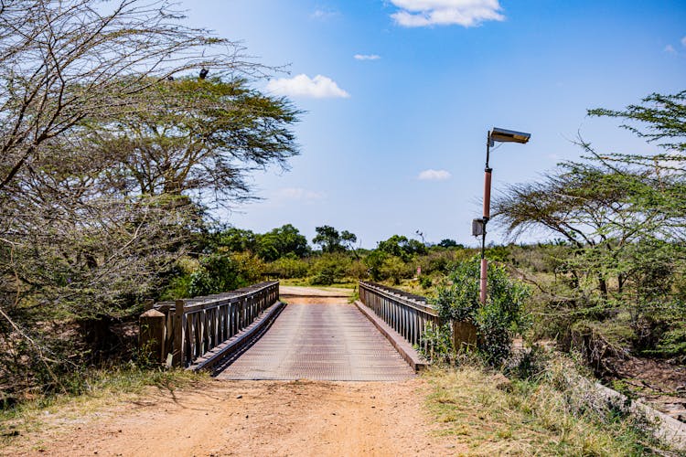 View Of A Bridge 