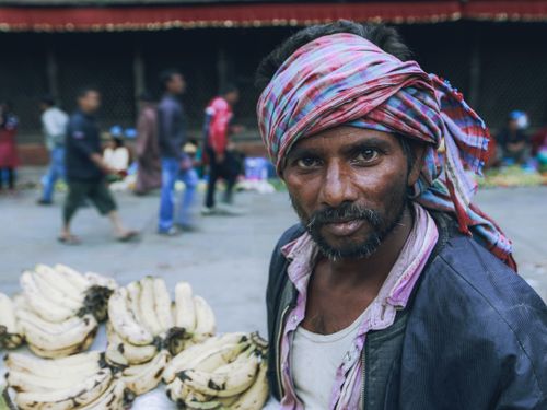 Free Portrait of a street vendor wearing a turban, selling bananas in an outdoor market. Stock Photo
