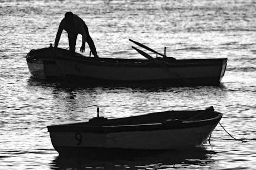 De franc Foto d'estoc gratuïta de aigua, barca de rems, barquero Foto d'estoc
