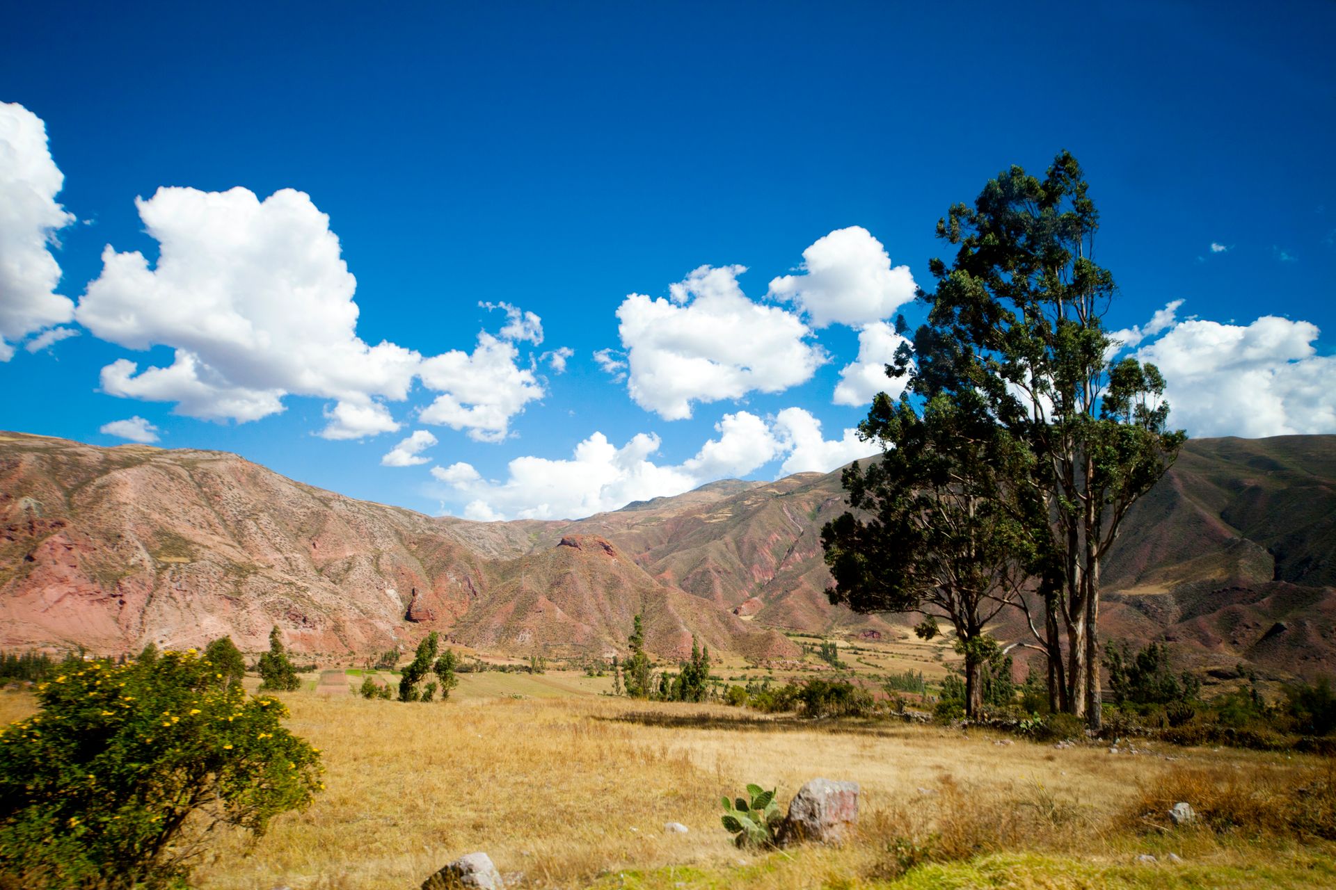 Breathtaking view of the Andes in Cusco, Peru with clear skies and vibrant nature.