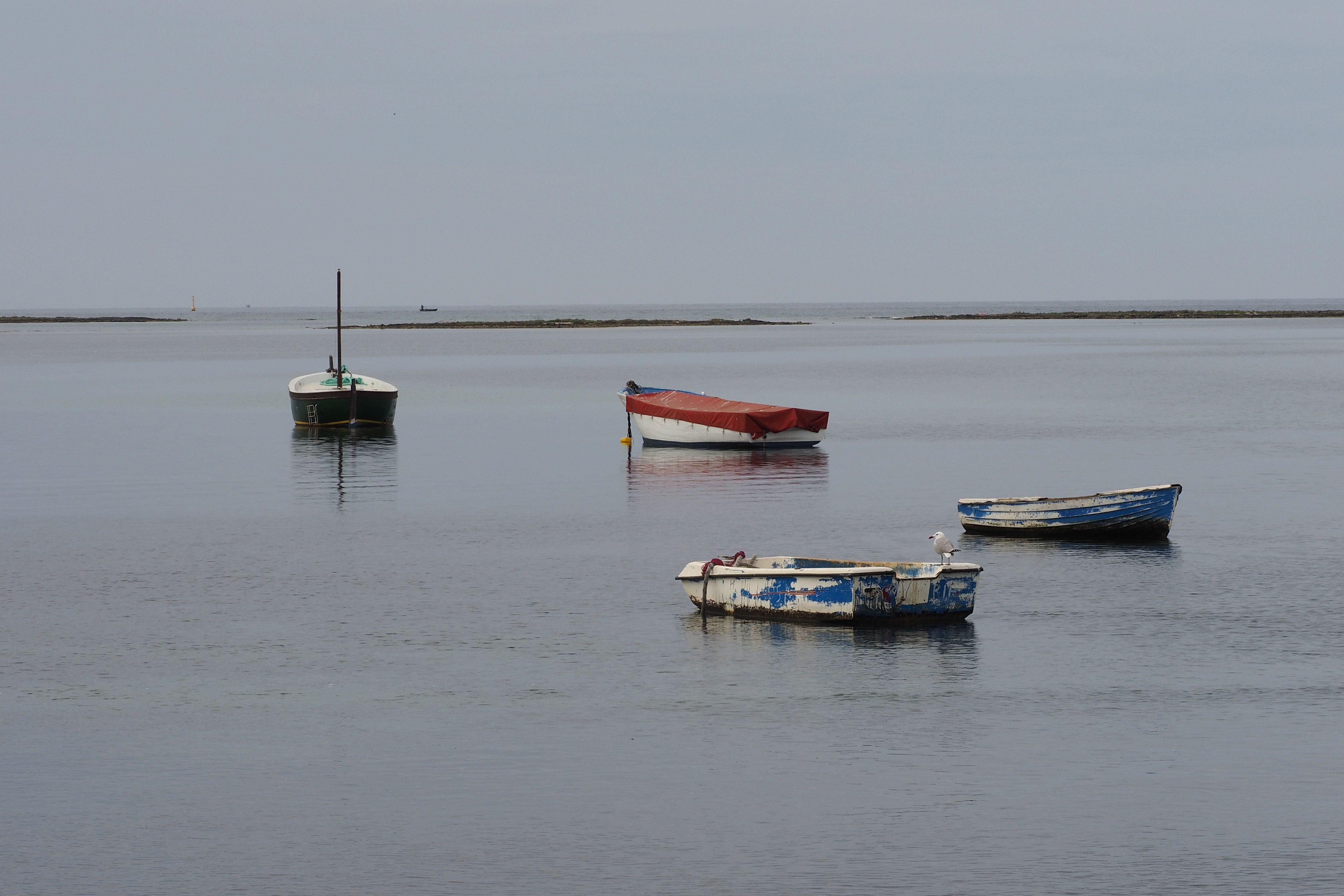 White and Blue Fishing Boat on the Ocean · Free Stock Photo