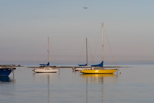 Δωρεάν στοκ φωτογραφιών με αγκυροβολημένος, βάρκες, θάλασσα Φωτογραφία από στοκ φωτογραφιών