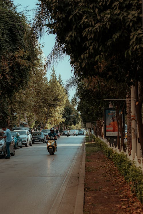 Free Cars on the Road Stock Photo