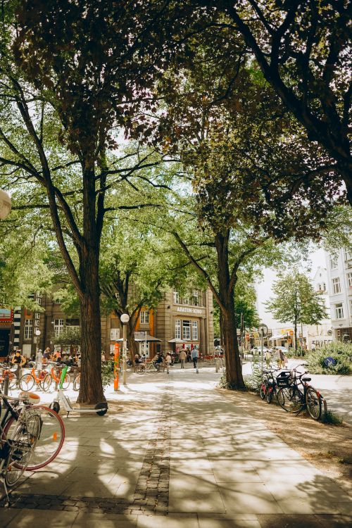 Free Vibrant summer scene in a Hamburg town square with pedestrians and bicycles under lush trees. Stock Photo