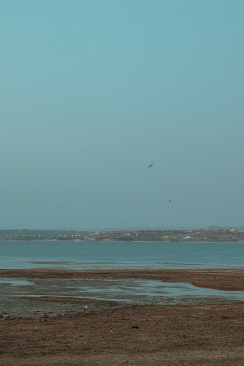 Beach on Lakeshore