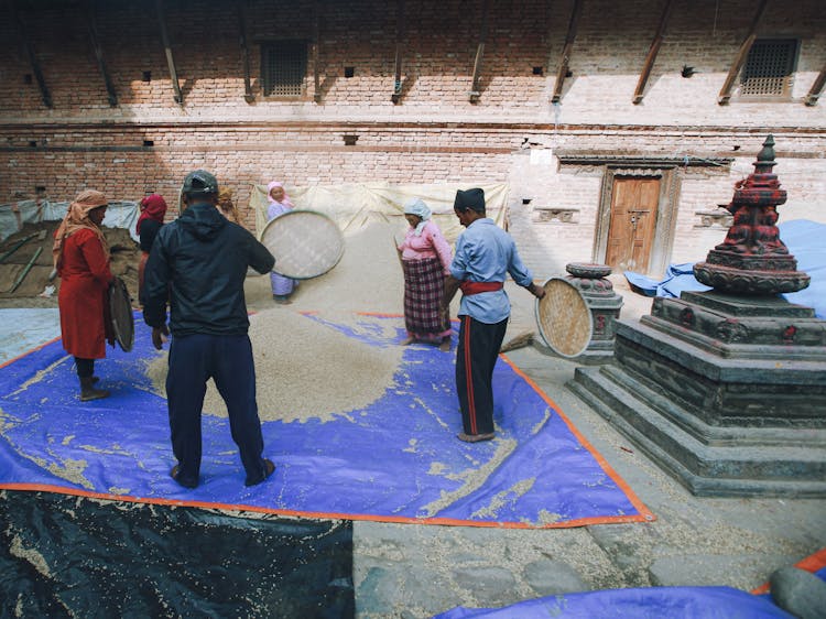 People Filtering Cereal In Temple