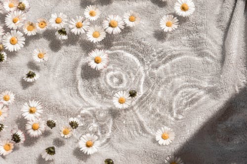 Bezpłatne Darmowe zdjęcie z galerii z białe kwiaty, estetyczny, latający Zdjęcie z galerii