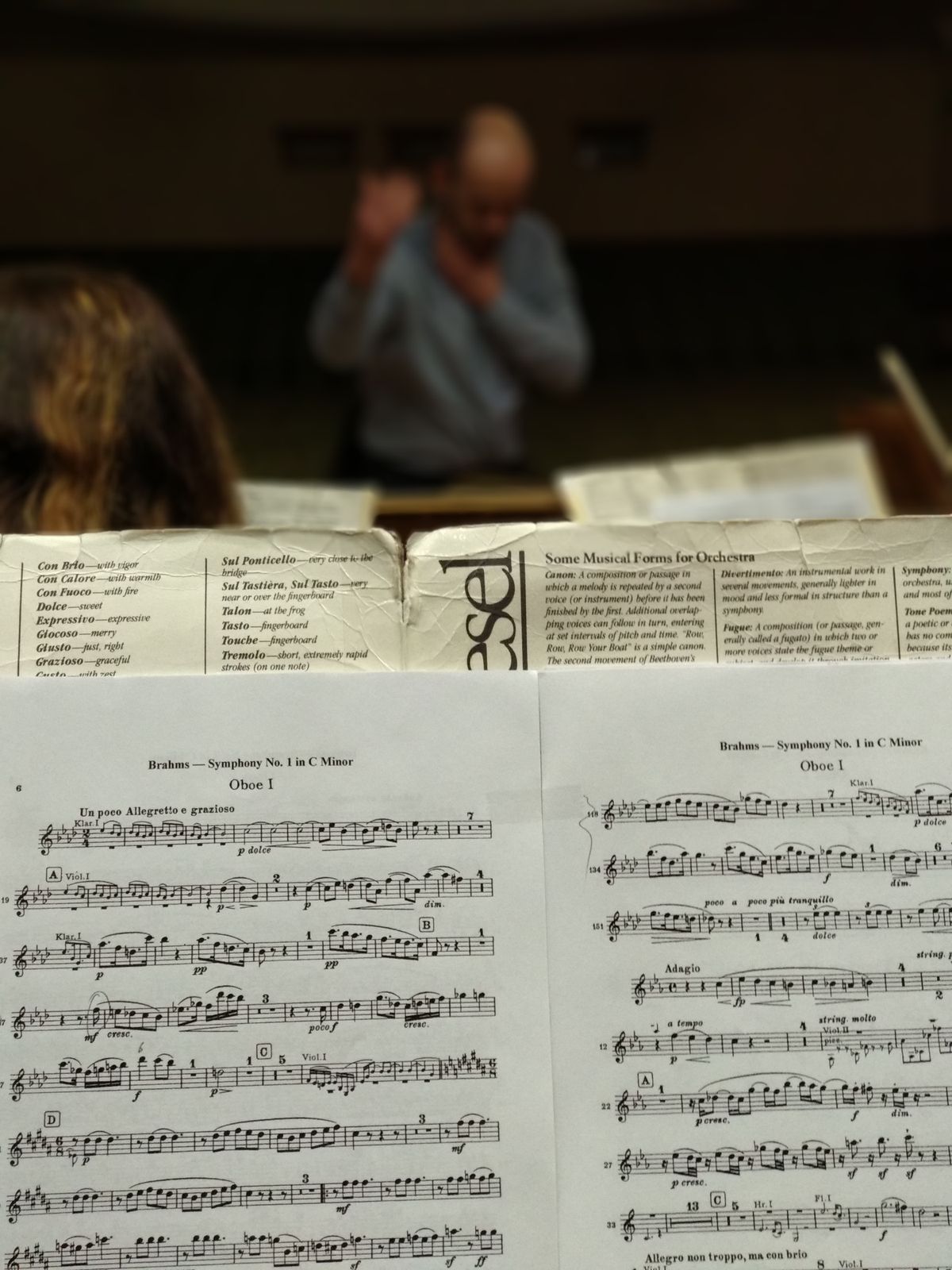 Vivaldi - The Four Seasons