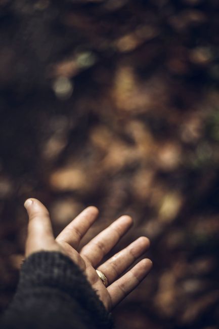 Fotomural Un primer plano de una mano abierta extendiéndose hacia un fondo natural borroso, evocando un sentido de conexión.