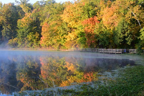가을 색, 빛 반사의 무료 스톡 사진