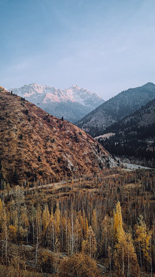 垂直拍摄, 天性, 山 的 免费素材图片