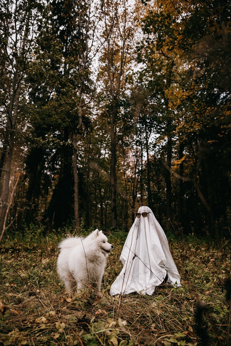 Person In Ghost Costume And Dog In Park