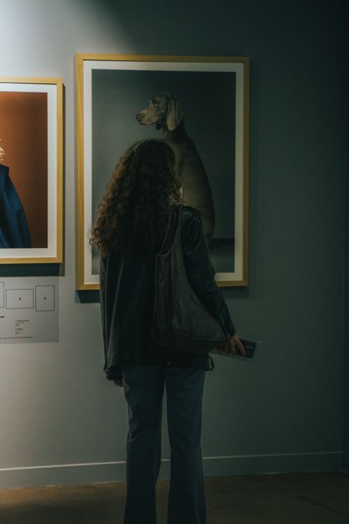 Free A woman with curly hair looks at paintings in an indoor museum. Stock Photo
