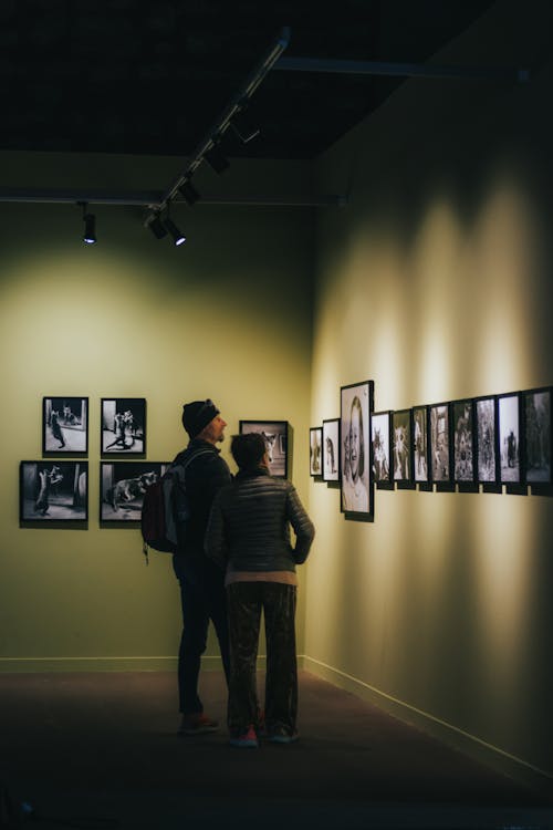 Foto profissional grátis de arte, casal, dentro de casa