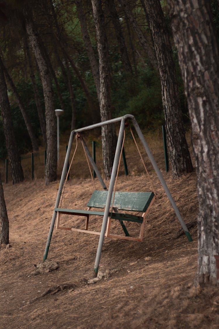 Wooden Swing In The Forest