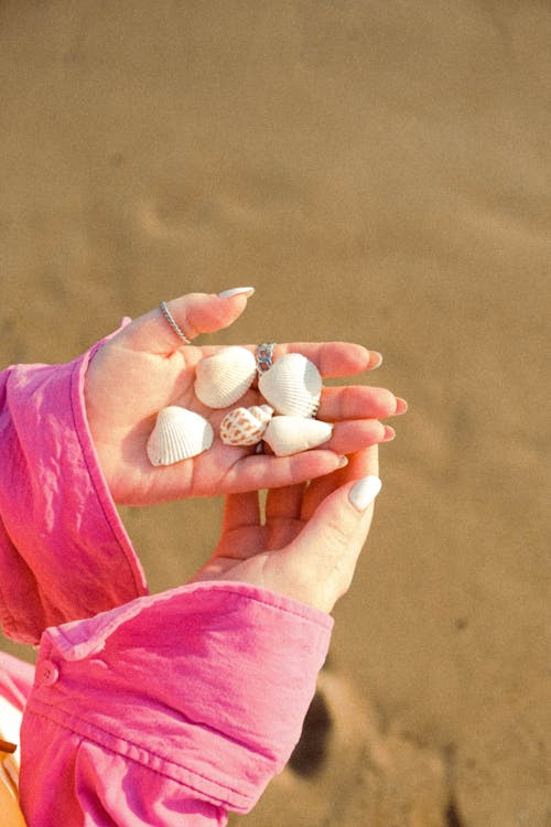 Foto profissional grátis de areia branca, conchas do mar, fechar-se