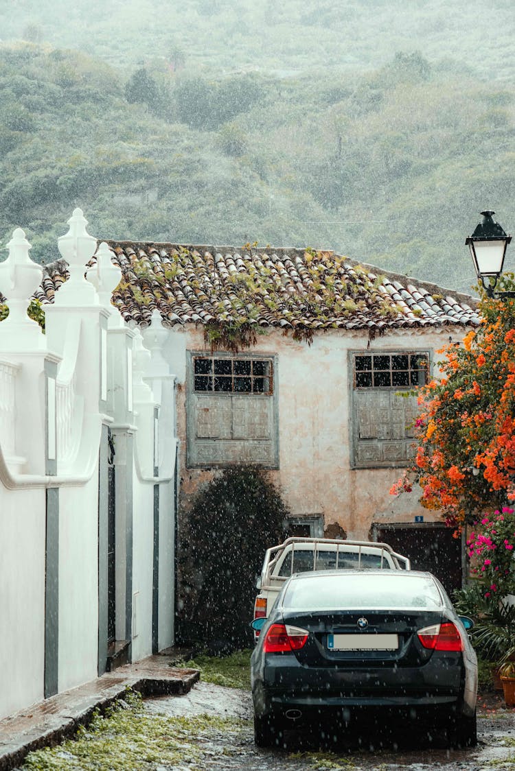 Cars Parked In The Driveway