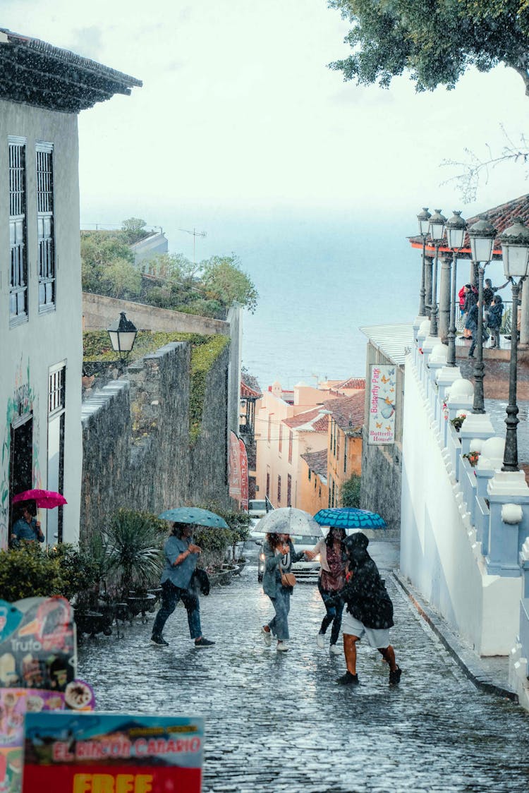 People Walking On The Street While Raining