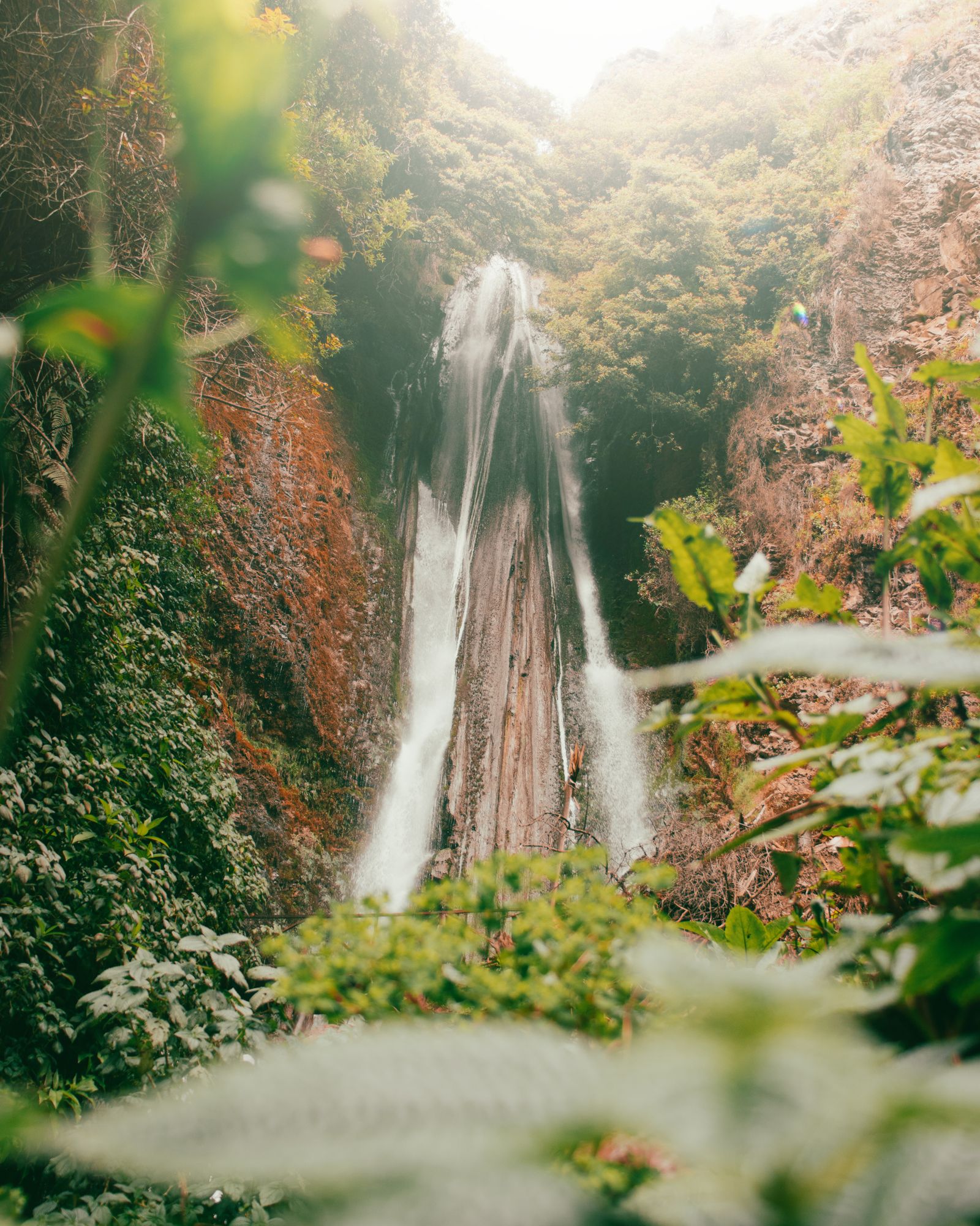 Cascada que cae por una quebrada rocosa entre vegetación verde y helechos